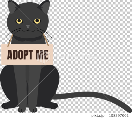 pet adoption and fostering concept. Homeless Furry Friend with Adoptable Collar. Black Cat with 'Adopt Me' Collar pet adoption and fostering concept. Homeless Furry Friend with Adoptable Collar. Black Cat with 'Adopt Me' Collar 108297001