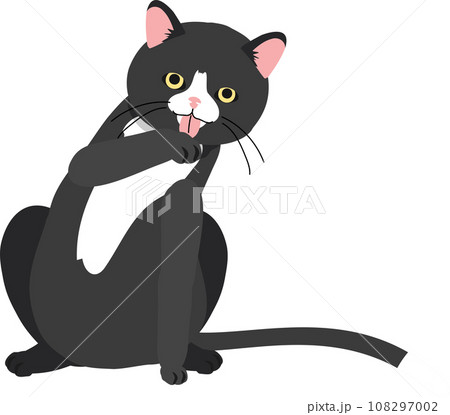 Cat Grooming and Paw Care. Fluffy Cat Spa Cat Grooming and Paw Care. Fluffy Cat Spa 108297002