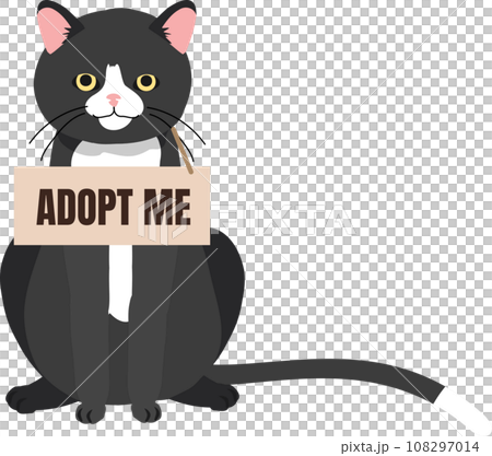 pet adoption and fostering concept. Homeless Furry Friend with Adoptable Collar. Black Cat with 'Adopt Me' Collar pet adoption and fostering concept. Homeless Furry Friend with Adoptable Collar. Black Cat with 'Adopt Me' Collar 108297014
