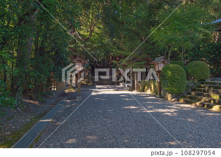 宮﨑 高千穂神社 参道の風景 108297054
