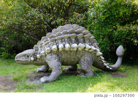 辰年にぴったりな恐竜公園　静岡県 108297300