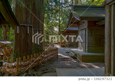 宮﨑 高千穂神社 夫婦杉と社殿 宮﨑 高千穂神社 夫婦杉と社殿 108297321