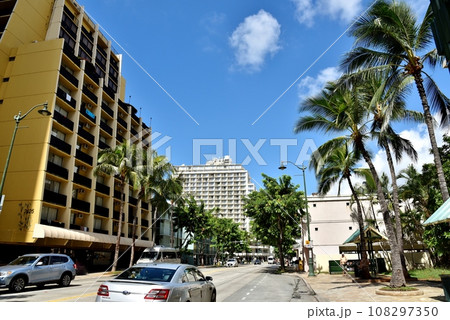 ハワイの休日 108297350