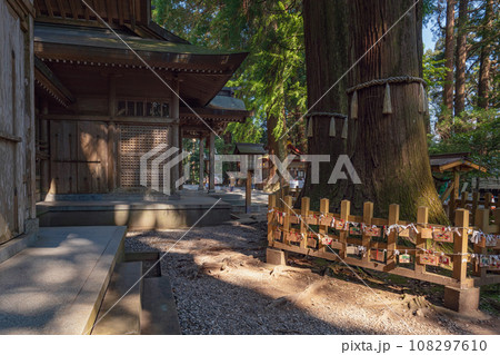 宮﨑 高千穂神社 夫婦杉と拝殿 108297610