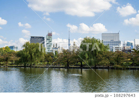 上野公園　不忍池 108297643