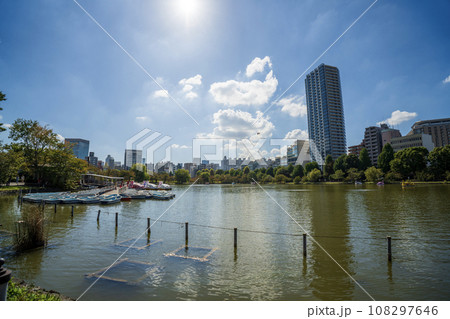 上野公園　不忍池 108297646