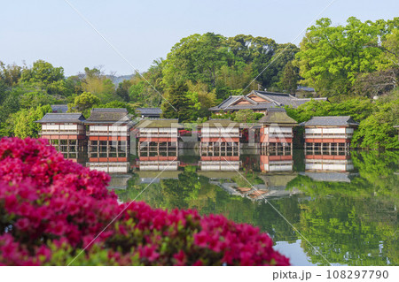 長岡天満宮　満開のキリシマツツジ　錦水亭（京都府長岡京市） 108297790