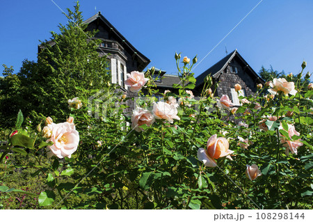 東京都　旧古河庭園　秋バラの風景 　都立庭園 108298144