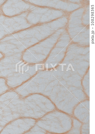 和紙による色々な模様の背景素材 108298365
