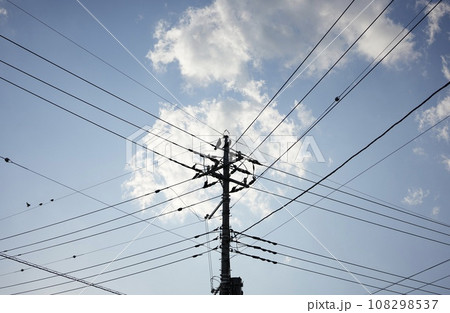 交差する電線と電柱に止まるカラス 108298537