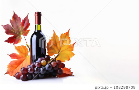 白い背景の赤ワインのボトルと紅葉とぶどうの果実 108298709