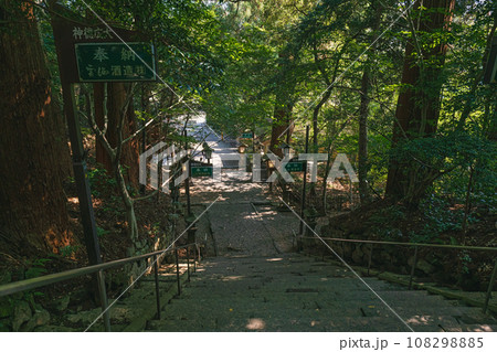 宮﨑 高千穂神社 森の中の参道 宮﨑 高千穂神社 森の中の参道 108298885