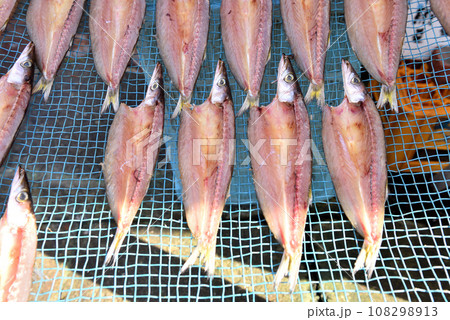 魚屋の店頭に干されたカマス 魚屋の店頭に干されたカマス 108298913