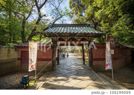上野東照宮の風景 上野東照宮の風景 108299089