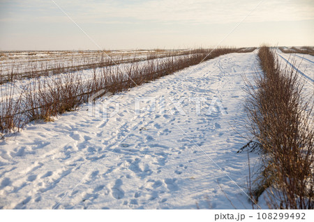 Footprints and dog tracks visible in the snow. Footprints and dog tracks visible in the snow. 108299492