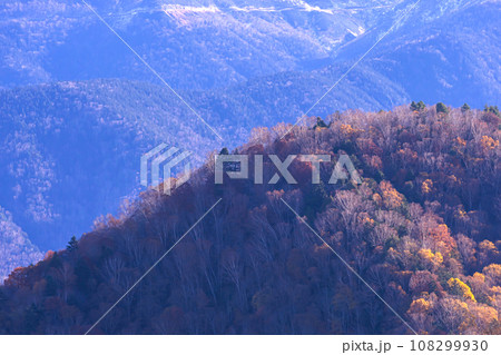 231030乗鞍岳山麓g161 231030乗鞍岳山麓g161 108299930