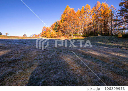 231030乗鞍岳山麓s146 108299938