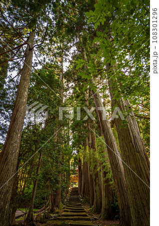 木々に囲まれた神社の参道 108301296