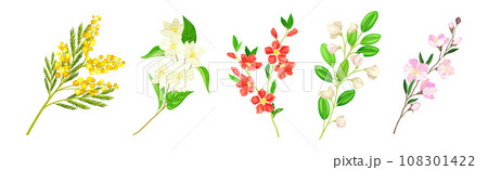 Blooming Flower Twig and Branch with Leaf Vector Set Blooming Flower Twig and Branch with Leaf Vector Set 108301422