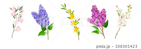 Blooming Flower Twig and Branch with Leaf Vector Set Blooming Flower Twig and Branch with Leaf Vector Set 108301423