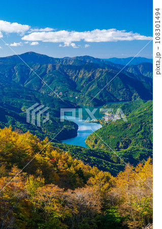 オクシズの山から望む井川湖と黄葉 オクシズの山から望む井川湖と黄葉 108301494