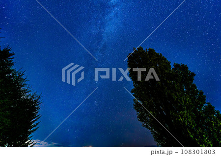 北海道美瑛町の星空　～ケンとメリーの木～ 108301803