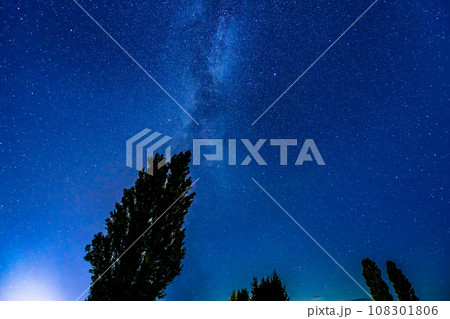 北海道美瑛町の星空　～ケンとメリーの木～ 108301806