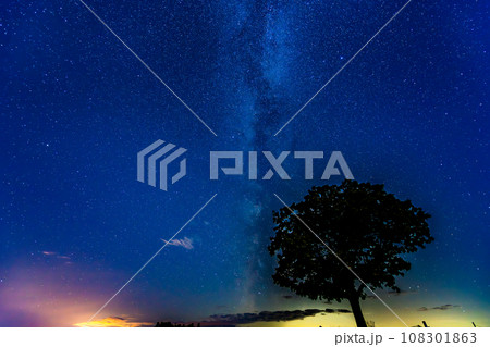北海道美瑛町の星空　～セブンスターの木～ 108301863