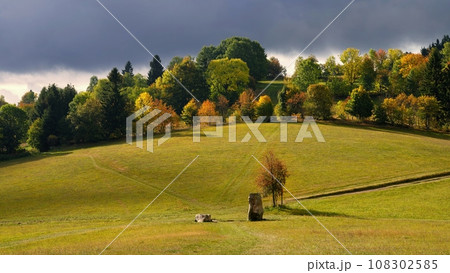 Beautiful autumn landscape. Colourful nature in autumn time. Highlands - Czech Republic. 108302585