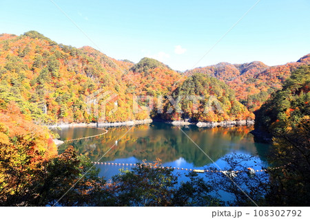 川俣湖の紅葉/栃木県日光市川俣 川俣湖の紅葉/栃木県日光市川俣 108302792