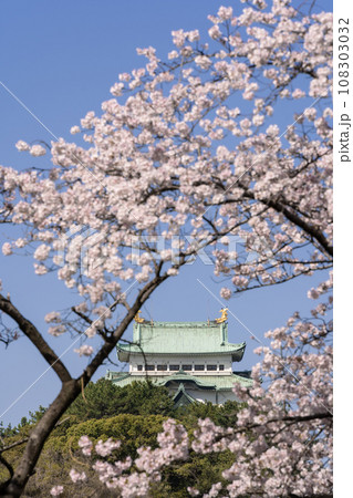 名古屋城と桜(ソメイヨシノ) 名古屋城と桜(ソメイヨシノ) 108303032