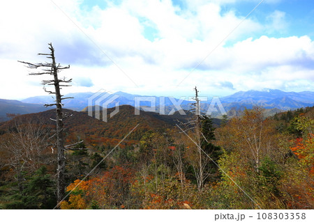 磐梯吾妻スカイライン 双竜の辻の紅葉/福島県福島市 磐梯吾妻スカイライン 双竜の辻の紅葉/福島県福島市 108303358