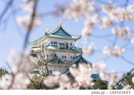 名古屋城天守閣と桜　北側から 108303685