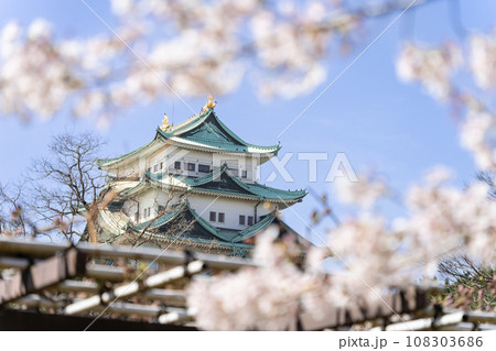 名古屋城天守閣と桜　北側から 108303686