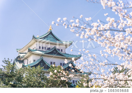 名古屋城天守閣と桜　北側から 108303688