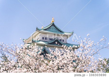 名古屋城天守閣と桜　北側から 108303690