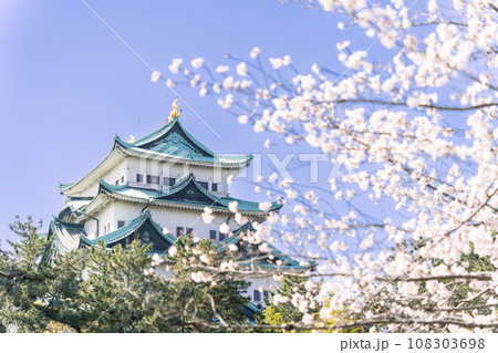 名古屋城天守閣と桜　北側から 108303698