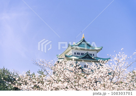 名古屋城天守閣と桜　北側から 108303701
