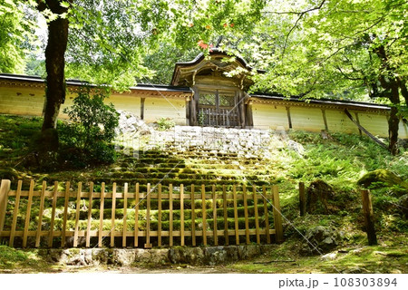 京都市右京区　常照皇寺の勅使門と木漏れ日 108303894