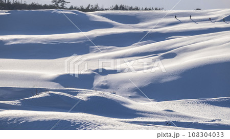 鳥取砂丘の雪景色  108304033
