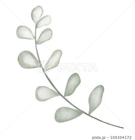 branch of a tree 108304172