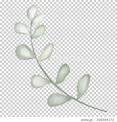 branch of a tree 108304172