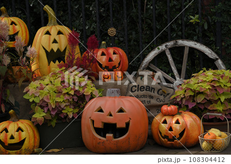 ハロウインパーティ 108304412