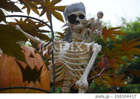 ハロウインパーティ 108304417
