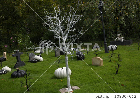 ハロウインパーティ 108304652