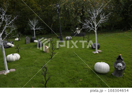 ハロウインパーティ 108304654