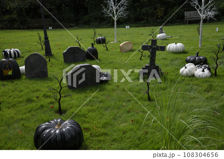 ハロウインパーティ 108304656