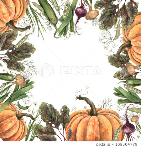 Watercolor frame made of vegetables: pumpkin, onion, peas, beetroot, dill. Hand-drawn botanical illustrations on an isolated background. It can be used in printing design. 108304779