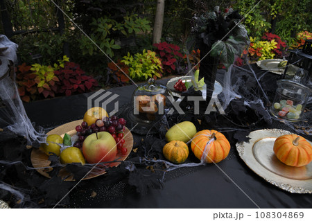 ハロウインパーティ 108304869