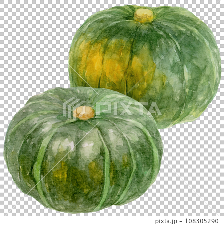 2つのカボチャの水彩イラスト 108305290